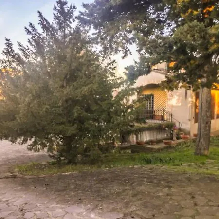 Prázdninový dům Oasi In The Garden Cozy - *